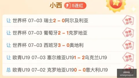 裁判发声：恩佐嘲讽掌声引争议，红牌判决合理
